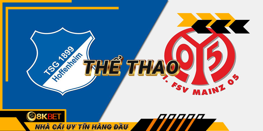 Hoffenheim vs Mainz 05